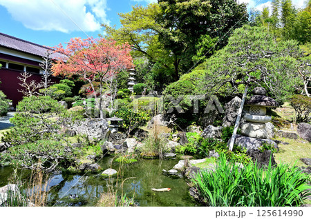 福王寺 萬両園 福王寺 萬両園 125614990
