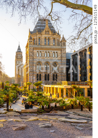 Visitors relax in the East Lawn of the Natural History Museum, surrounded by greenery and historic architecture during golden hour, capturing the essence of London's charm. 125615149