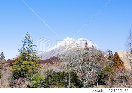 積雪の由布岳 積雪の由布岳 125615176