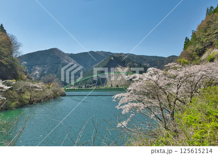 湖の周りを彩る〜桜色舞うころ 音水湖 兵庫県 湖の周りを彩る〜桜色舞うころ 音水湖 兵庫県 125615214