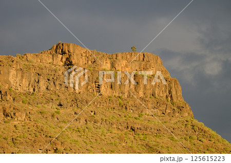 Cliff in the Arguineguin ravine. Cliff in the Arguineguin ravine. 125615223