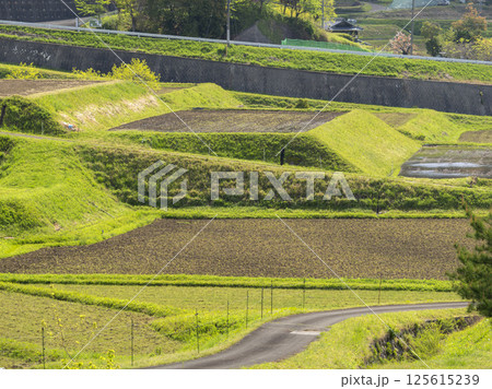水が張られた棚田の風景 125615239