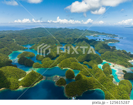 Beautiful tropical island with lagoons. Rainforest under clear blue sky. Bucas Grande Island. Philippines. 125615287