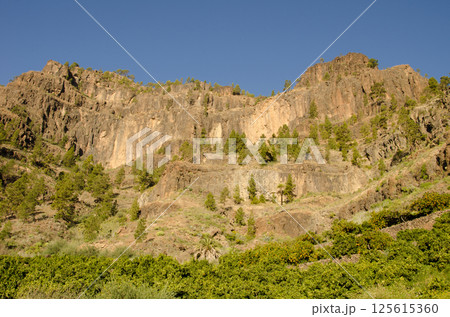 Cliff in the Arguineguin ravine. Cliff in the Arguineguin ravine. 125615360