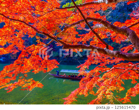 京都 嵐山の紅葉と屋形船 京都 嵐山の紅葉と屋形船 125615470