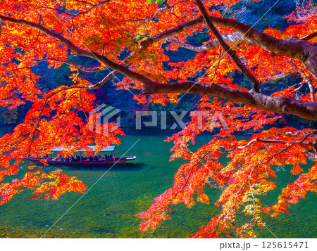 京都 嵐山の紅葉と屋形船 125615471