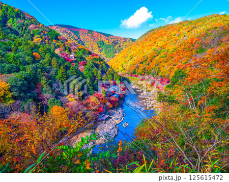 京都 嵐山の紅葉 125615472