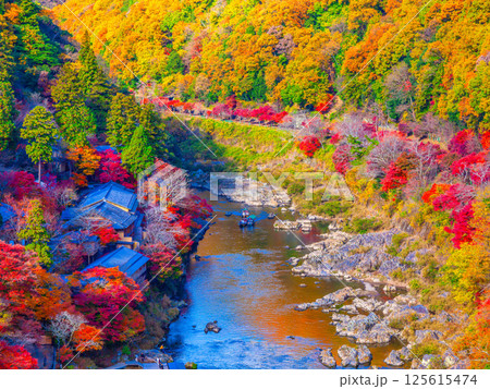 京都 嵐山の紅葉 125615474
