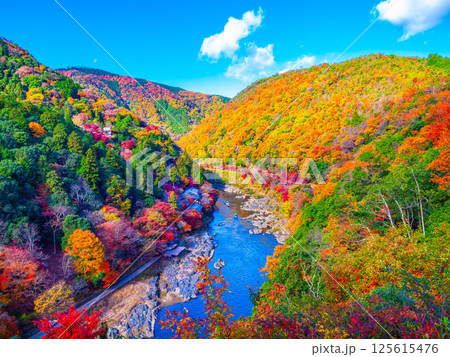 京都 嵐山の紅葉 京都 嵐山の紅葉 125615476
