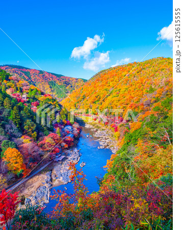 京都 嵐山の紅葉 125615555