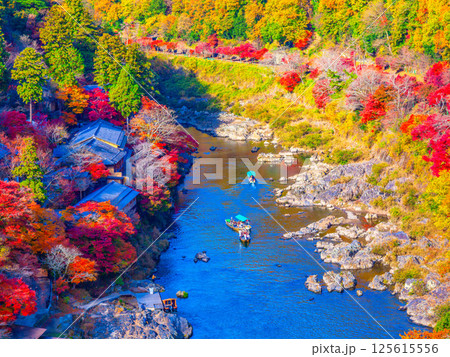 京都 嵐山の紅葉 京都 嵐山の紅葉 125615556