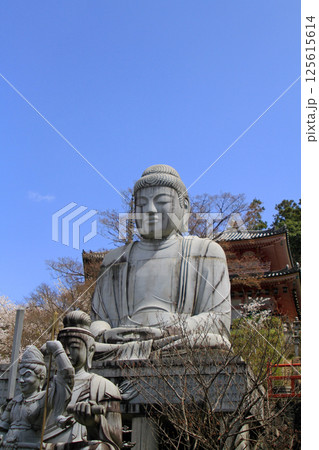 壺阪寺の桜大仏 125615614