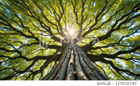 majestic tree with sprawling branches and vibrant green leaves is captured from low angle, with sunlight radiating through canopy, creating serene and awe inspiring atmosphere. 125616190