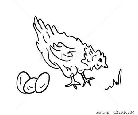 Homemade chicken and eggs, vector drawing in doodle style. Farm animals is a monochrome hand-drawn contour illustration. A Happy chicken for a home-made food brand 125616534