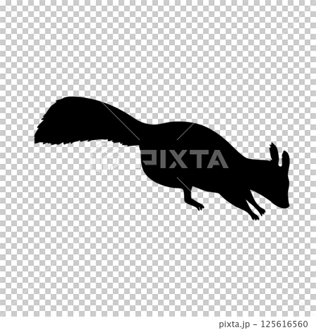 Squirrel looking for something Monochrome silhouette illustration Squirrel looking for something Monochrome silhouette illustration 125616560
