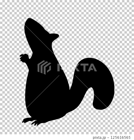 Squirrel looking up Monochrome silhouette illustration 125616565