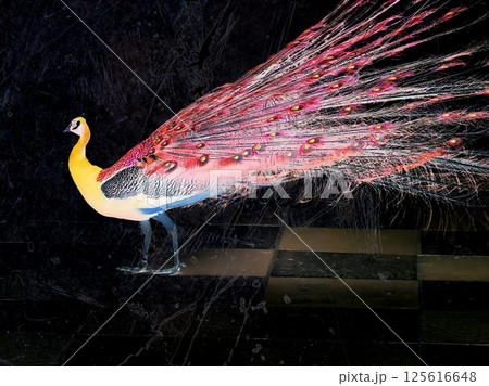 Creative poster with colourful peacock showing open tail with pink feathers on black background. Bright peacock's tail at night. Exotic Indian bird. 125616648