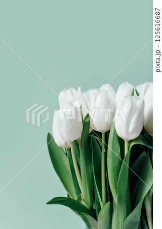 Mothers day, Valentines Day, Birthday celebration concept. Greeting card. Beautiful Bouquet of white delicate tulips. Copy space. Spring background. March 8, International Womens Day 125616687