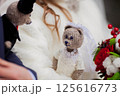 Soft toys dressed in wedding attire are carried by the bride and groom 125616773