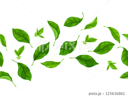 Pattern with leaves. Spring or summer stylized foliage. 125616862