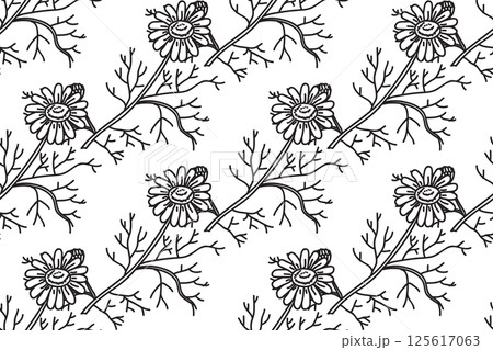 Line art botanical seamless floral pattern with flowers chamomile vector illustration. Black outline repeating daisy plants in white background. Graphic design for Fashion Cover Textile Wedding Print Line art botanical seamless floral pattern with flowers chamomile vector illustration. Black outline repeating daisy plants in white background. Graphic design for Fashion Cover Textile Wedding Print 125617063