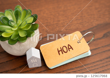 HOA Homeowners Association concept. Organization in a residential community that enforces rules and regulations, manages common areas, and provides services for the benefit of the neighborhood HOA Homeowners Association concept. Organization in a residential community that enforces rules and regulations, manages common areas, and provides services for the benefit of the neighborhood 125617068