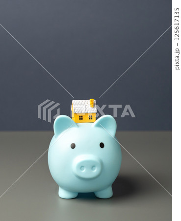 Piggy bank with little house. Concept of buying, selling or renting a home. Mortgage, loan, real estate. Copy space Piggy bank with little house. Concept of buying, selling or renting a home. Mortgage, loan, real estate. Copy space 125617135