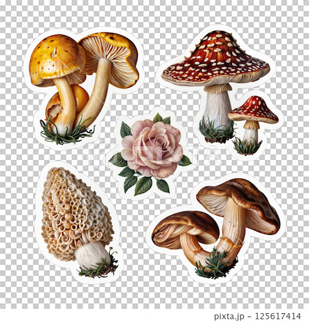 Mushroom stickerbox with rose 125617414