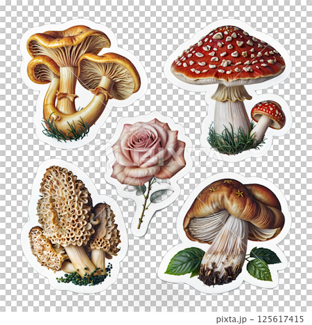 Mushroom stickerbox 125617415