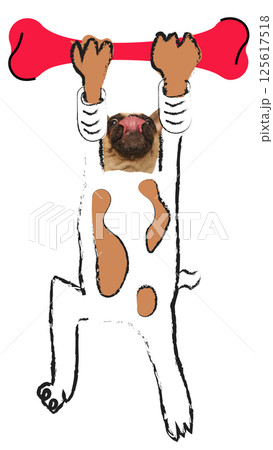 Humorous art collage. Licking pug cartoon character hanging from oversized red bone, as dumbbell, in gymnastic posture. 125617518