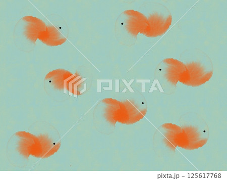 金魚 きんぎょ キンギョ 125617768