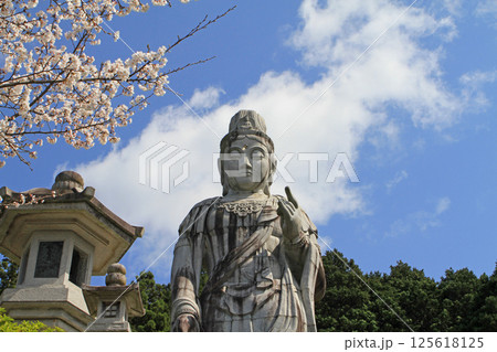 壺阪寺の天竺渡来大観音石蔵 125618125