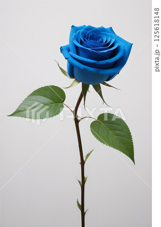 花 フラワー お花 125618148