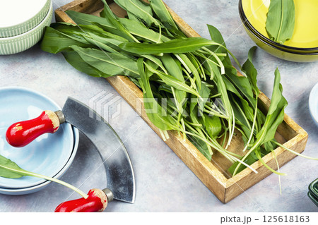 A bunch of wild onion or Ramps on the table. 125618163