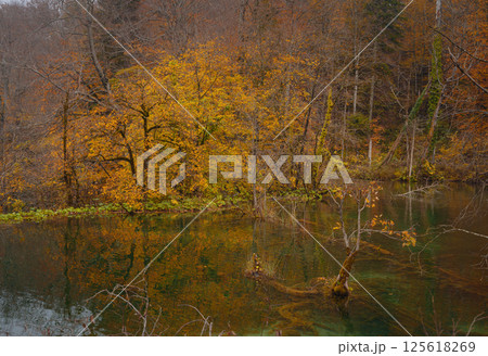 Plitvice Lakes in Croatia during autumn, showcasing stunning waterfalls, vibrant foliage, and crystal-clear waters, creating a magical and serene natural landscape perfect for nature lovers. 125618269