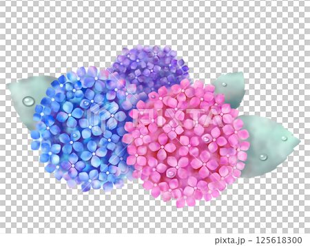 繡球花1 125618300