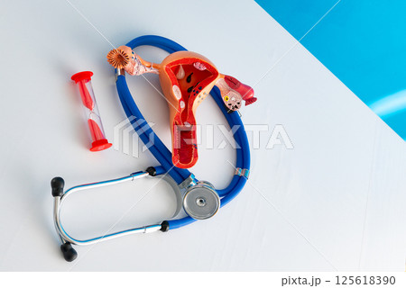Healthcare and medical concept human female reproductive system and hourglass 125618390