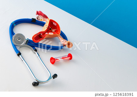 Healthcare and medical concept human female reproductive system and hourglass 125618391