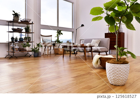 明るいリビングルーム フローリングの住宅 テーブルとソファ 観葉植物のある部屋 明るいリビングルーム フローリングの住宅 テーブルとソファ 観葉植物のある部屋 125618527