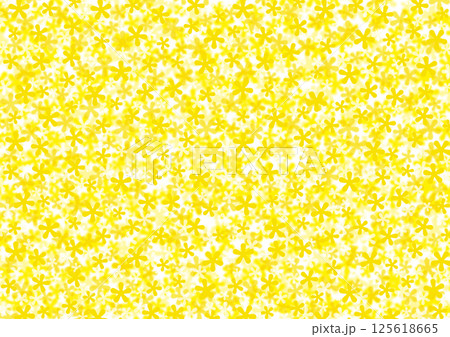 黄色菜の花のような花柄 全面 黄色菜の花のような花柄 全面 125618665