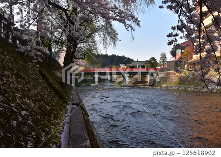 日本の岐阜県 春の高山市 満開の桜と観光名所の中橋 宮川沿いの土手に積もった桜の花びら 日本の岐阜県 春の高山市 満開の桜と観光名所の中橋 宮川沿いの土手に積もった桜の花びら 125618902