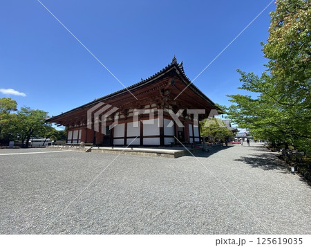 東寺 125619035