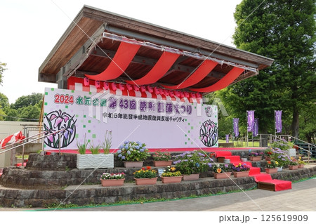 水元公園の葛飾菖蒲まつり　五月下旬から六月初旬　東京都葛飾区 125619909