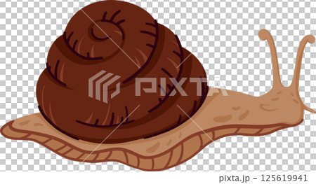 Cute Brown Garden Snail with Spiral Shell and Tentacles Crawling. Hand Drawn Wild Mollusk Isolated Without Background. Adorable Slow Creature for Nature or Animal Designs 125619941
