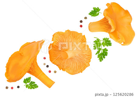 Chanterelle mushroom isolated on a white background. Top view. Flat lay Chanterelle mushroom isolated on a white background. Top view. Flat lay 125620286
