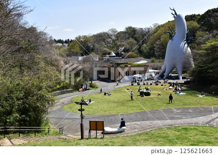 川崎市　生田緑の地西口広場 125621663