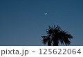 南の夕空に浮かぶ三日月と宵の明星 125622064