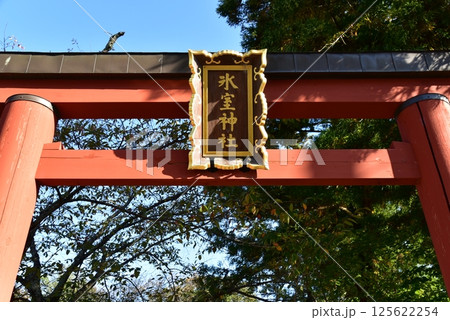奈良の氷室神社 125622254