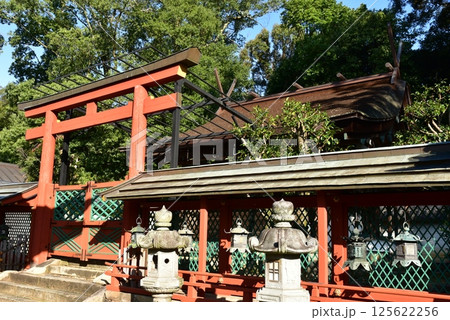 奈良の氷室神社 125622256