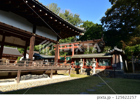 奈良の氷室神社 125622257